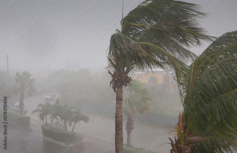 台風